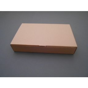 Szedvicses doboz nagy 10 (290x186x50 mm)(100 db/cs)