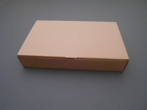 Szedvicses doboz nagy 10 (290x186x50 mm)(100 db/cs)